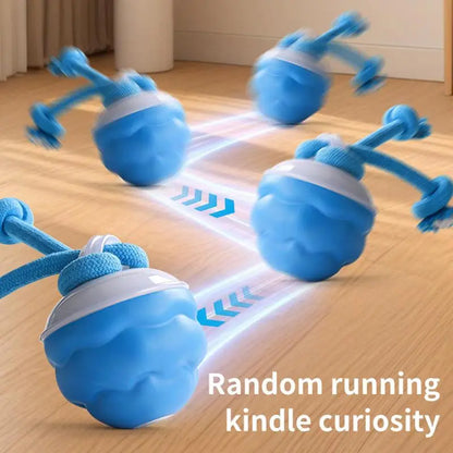 🔥2025 New Release 50% OFF🐶Motion-Activated Interactive Dog Toy for Smart Play & Endless Fun🐕