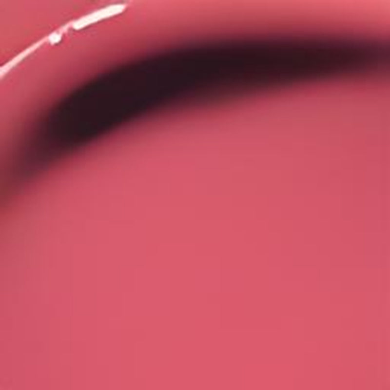 Perfect Twin Lip â€?Dual-Ended Liquid Lipstick with Velvet Matte Color and Glossy Shine