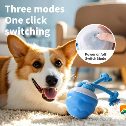 🔥2025 New Release 50% OFF🐶Motion-Activated Interactive Dog Toy for Smart Play & Endless Fun🐕