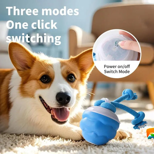 🔥2025 New Release 50% OFF🐶Motion-Activated Interactive Dog Toy for Smart Play & Endless Fun🐕