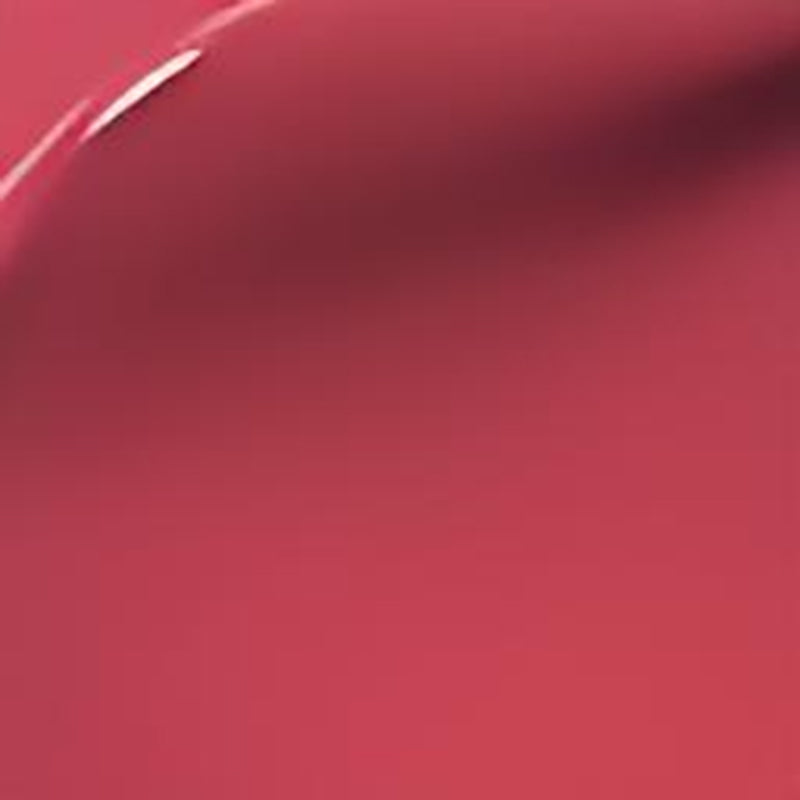 Perfect Twin Lip â€?Dual-Ended Liquid Lipstick with Velvet Matte Color and Glossy Shine