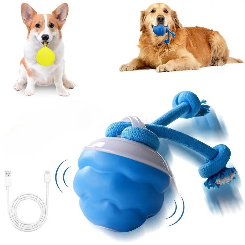 🔥2025 New Release 50% OFF🐶Motion-Activated Interactive Dog Toy for Smart Play & Endless Fun🐕